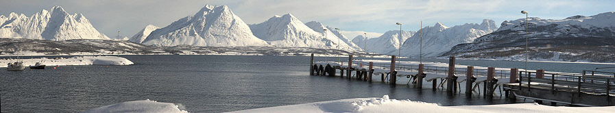 Svensby ferry panorama