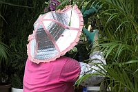 tinfoil hat