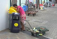 bin lady