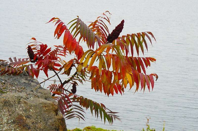 color