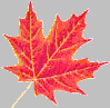 Canada fall colors