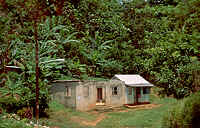 shack