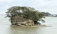 rock tree island