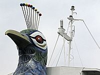 peacock ship