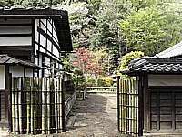 bamboo gate