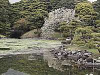 pond
