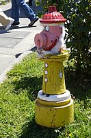 Puerto Varas fire plug