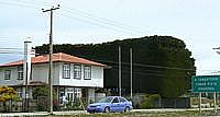 shelterbelt