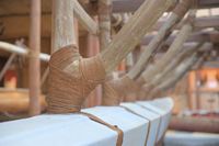 knots and struts