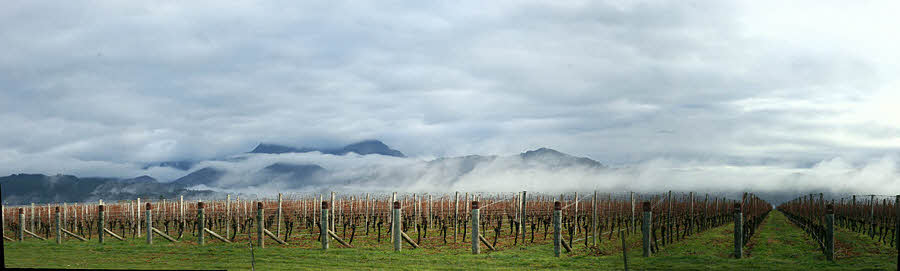NZ panorama