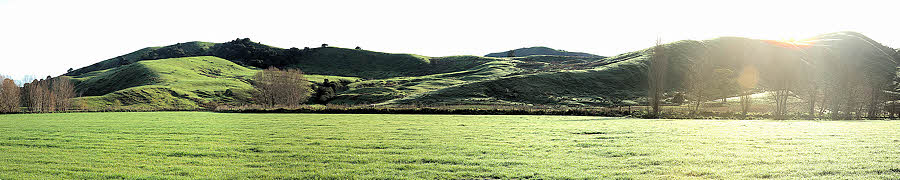 NZ panorama