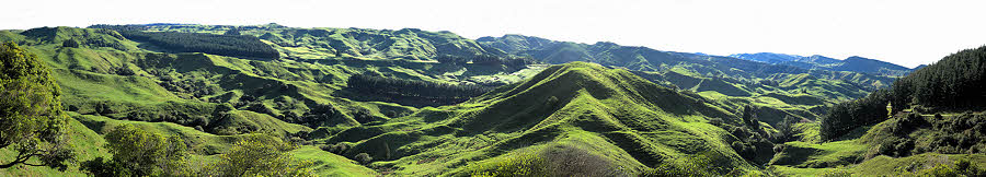 NZ panorama