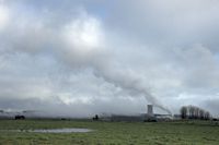 steam all over