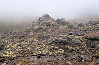 volcano veggies