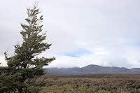 Mount Tongariro