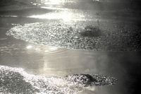 mud burst