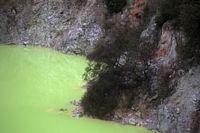 devil's drink
