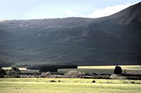 windbreak valley
