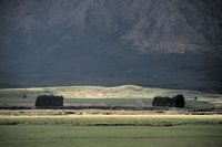 windbreak valley