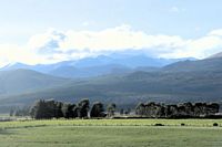 windbreak valley