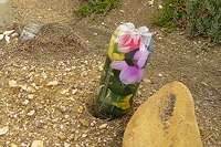 Malmesbury grave