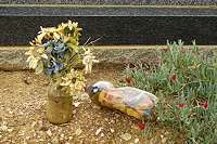 Malmesbury grave