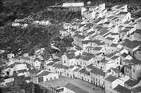 casares