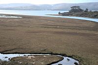 lake marsh