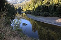 morning river