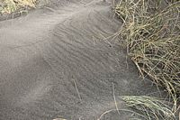 sand pattern