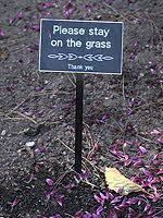stay on the grass
