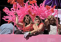 pink medusa