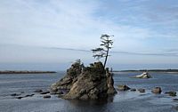 Hiroshige rocks
