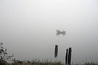 fishing for fog