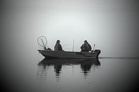 fog fishers