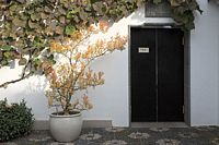 pot, plant and door