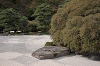 rock, gravel and shurb