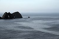 sea surface