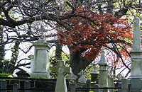 Trinity graveyard