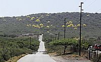 kibrahacha