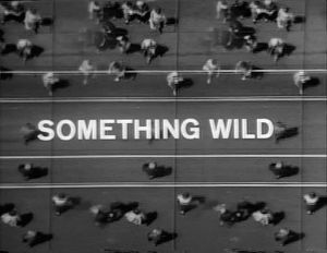 Something Wild