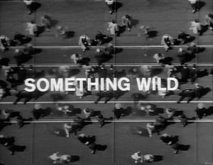 Something Wild