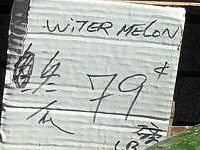 writer melon